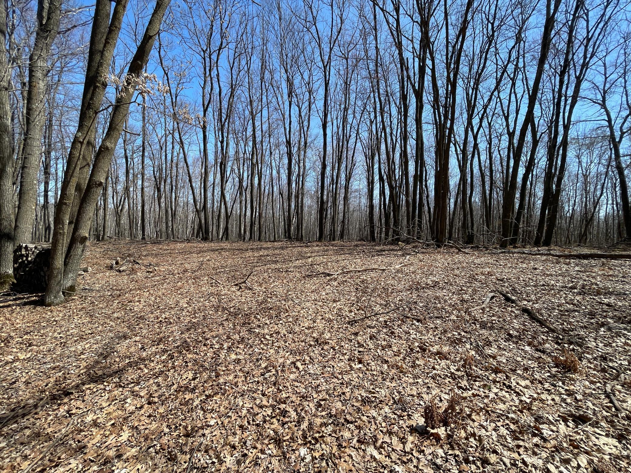 Sand Pit Road, Trego, Wisconsin image 12