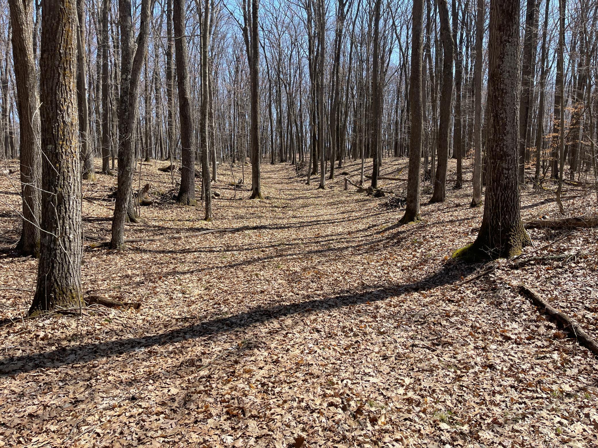 Sand Pit Road, Trego, Wisconsin image 1