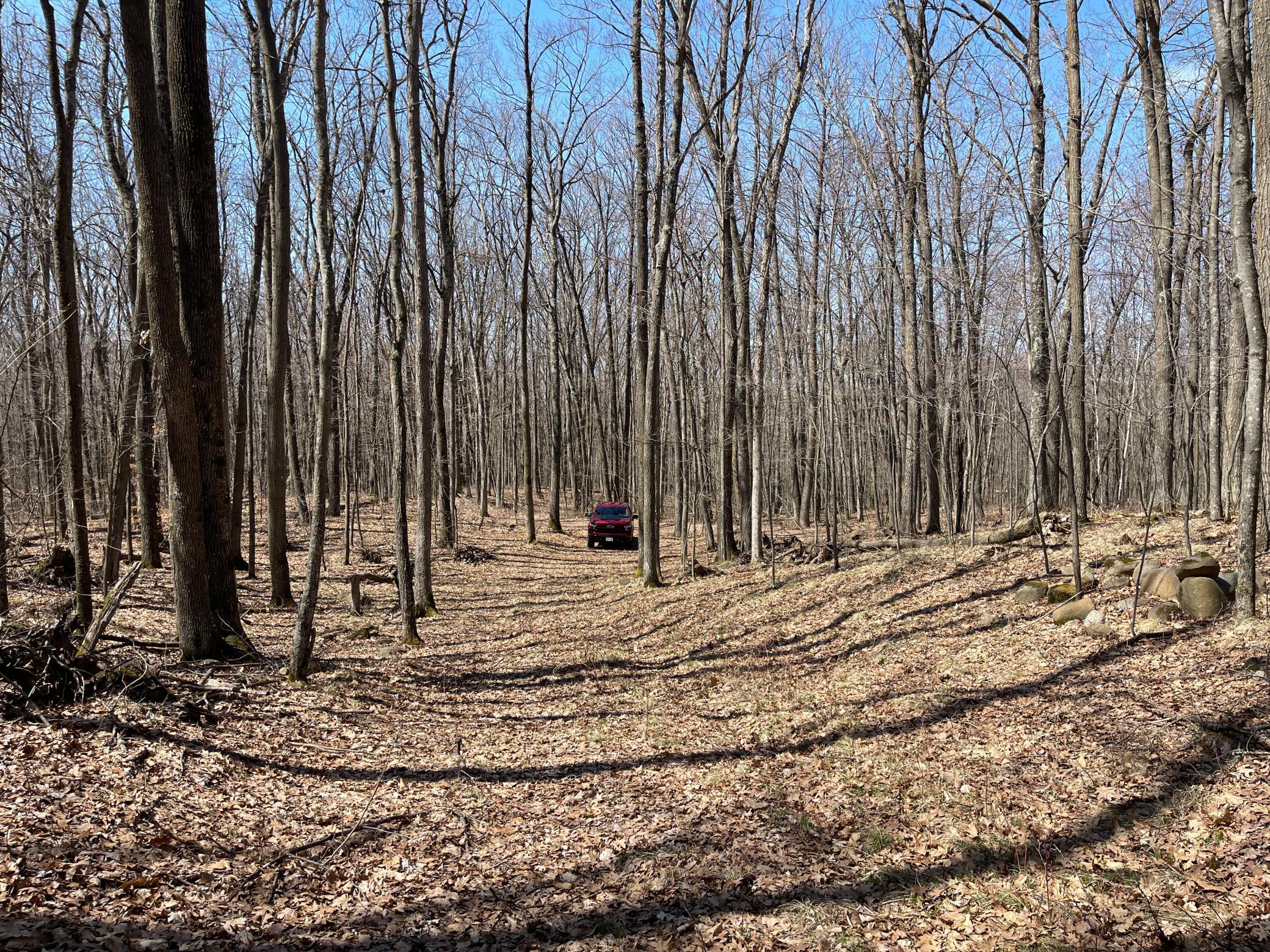 Sand Pit Road, Trego, Wisconsin image 7