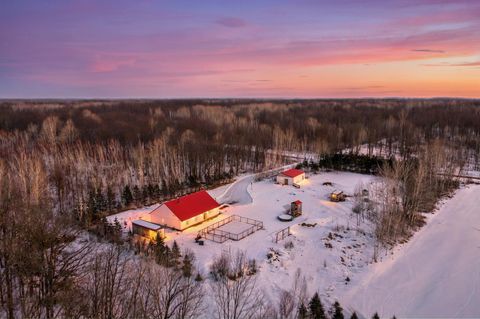 Homes For Sale - 3025 Pilot Street<br/> Kanabec County, Brook Park, MN 55007