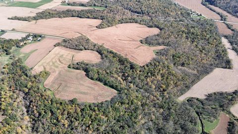 Vacant Land For Sale - TBD 207th Avenue<br/> Fillmore County, Chatfield, MN 55922