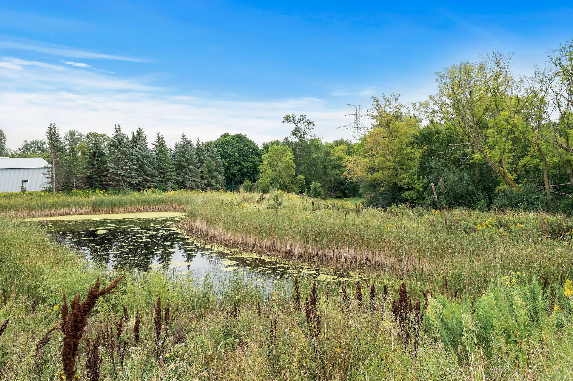 10885 Dunkirk Place, Dayton, Minnesota image 4