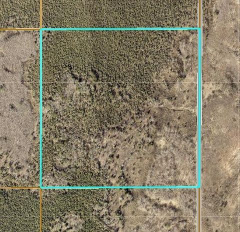 Vacant Land For Sale - TBD Xxx<br/> Emily, MN 56447