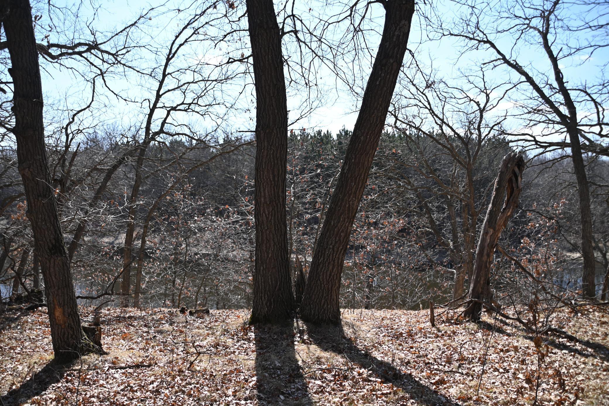Xxxx Odin Court, Browerville, Minnesota image 4