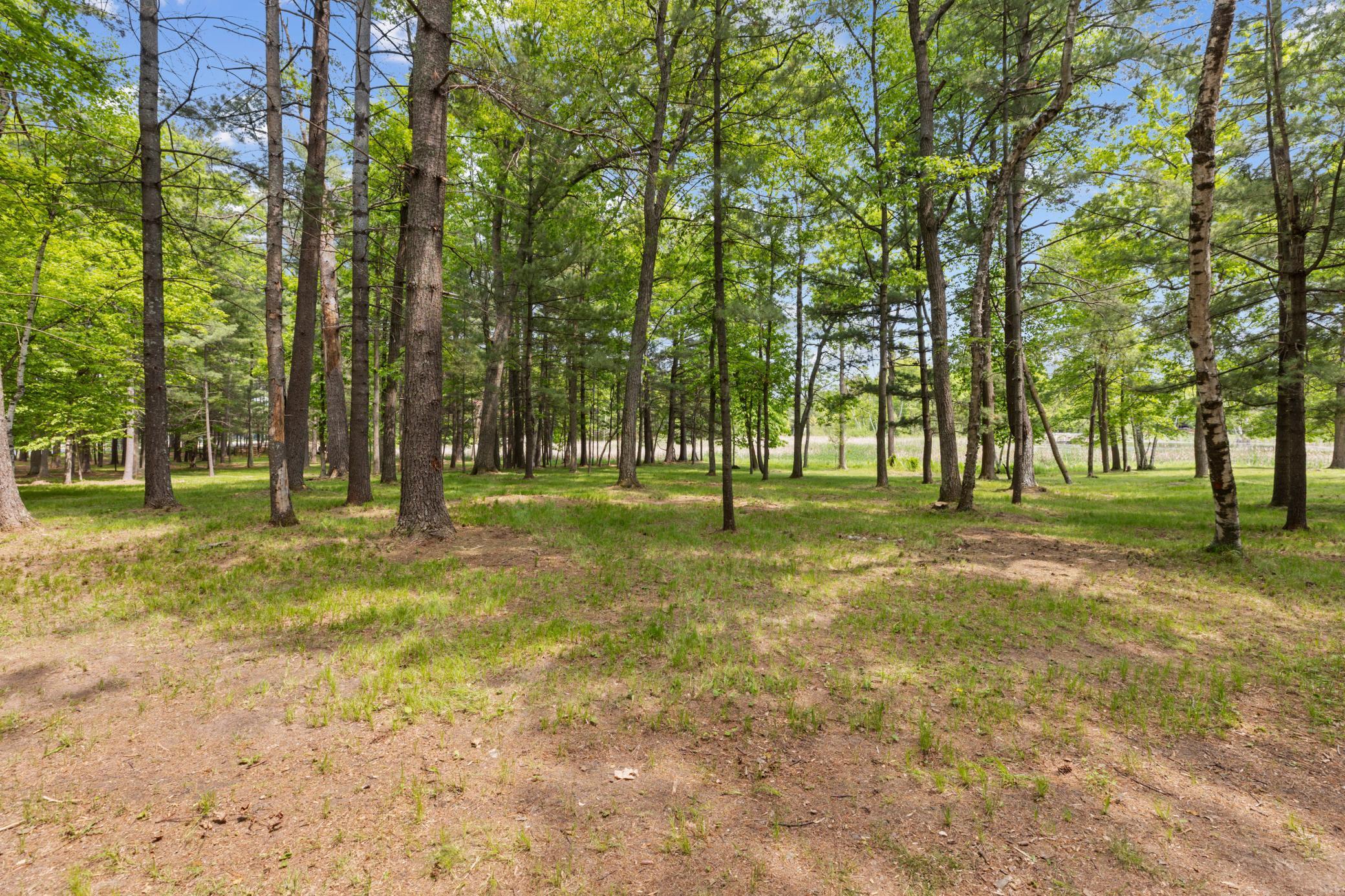 TBD-Parcel C Staley Lane, Crosslake, Minnesota image 25