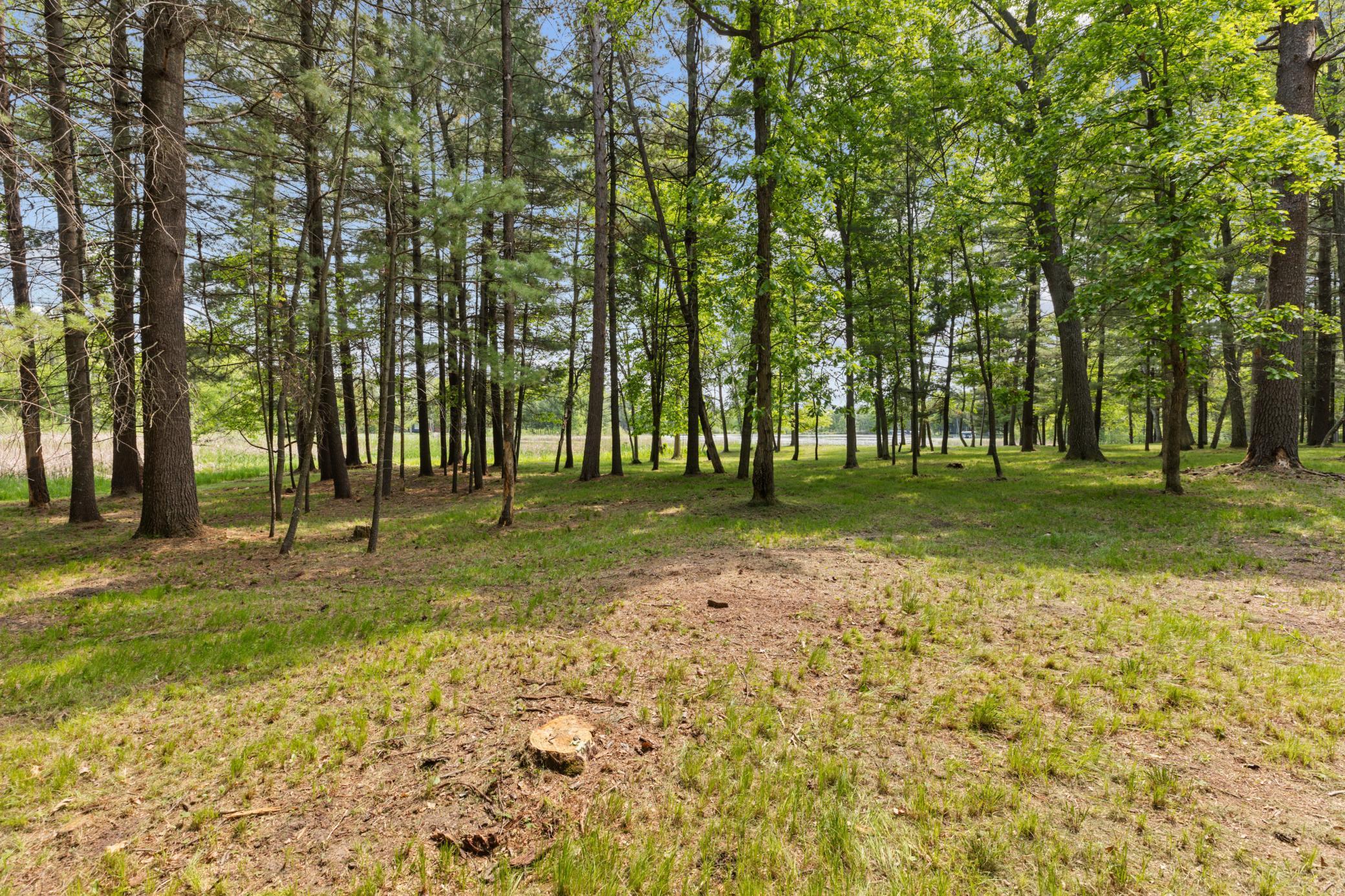 TBD-Parcel C Staley Lane, Crosslake, Minnesota image 24