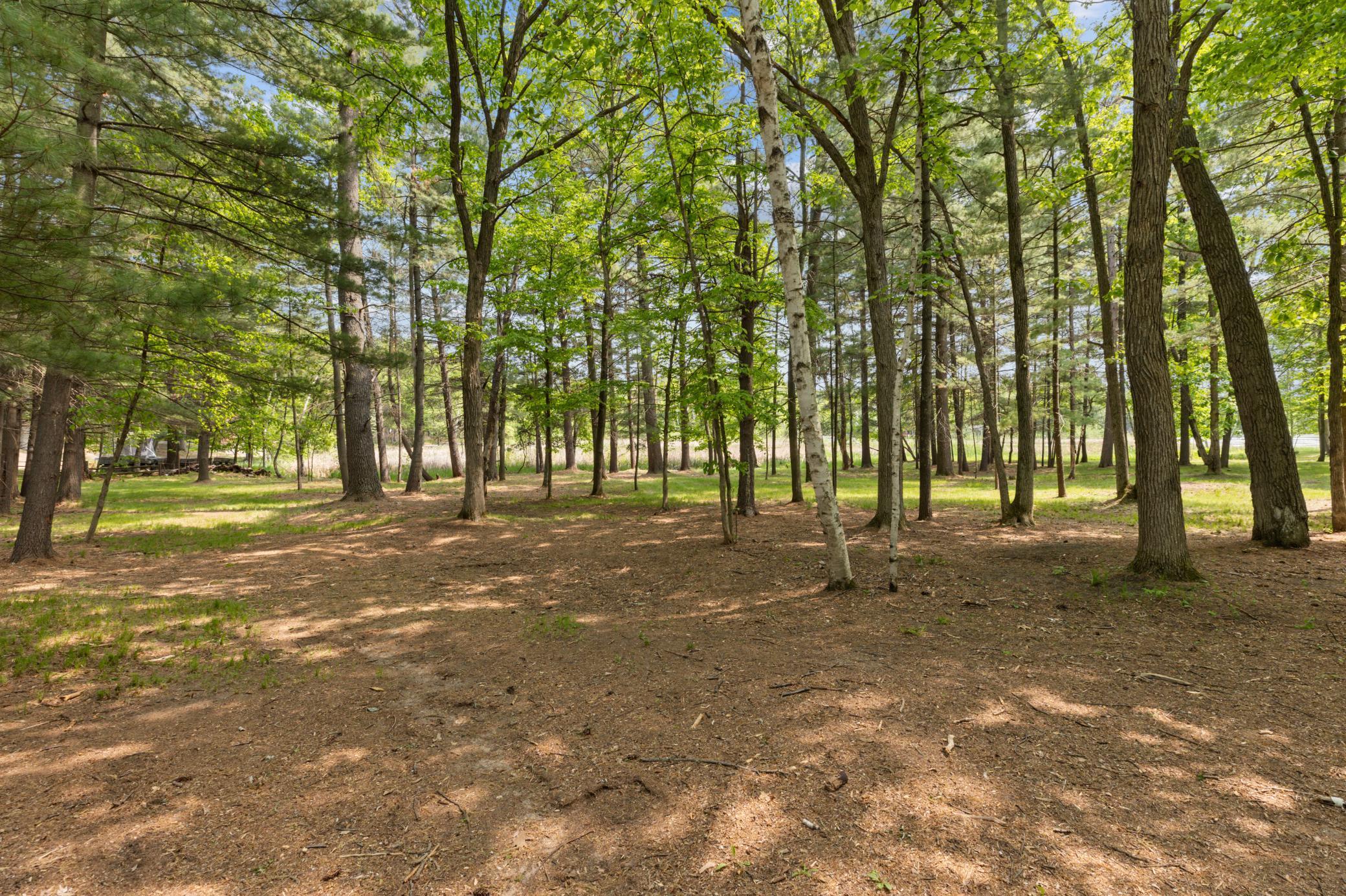 TBD-Parcel C Staley Lane, Crosslake, Minnesota image 15