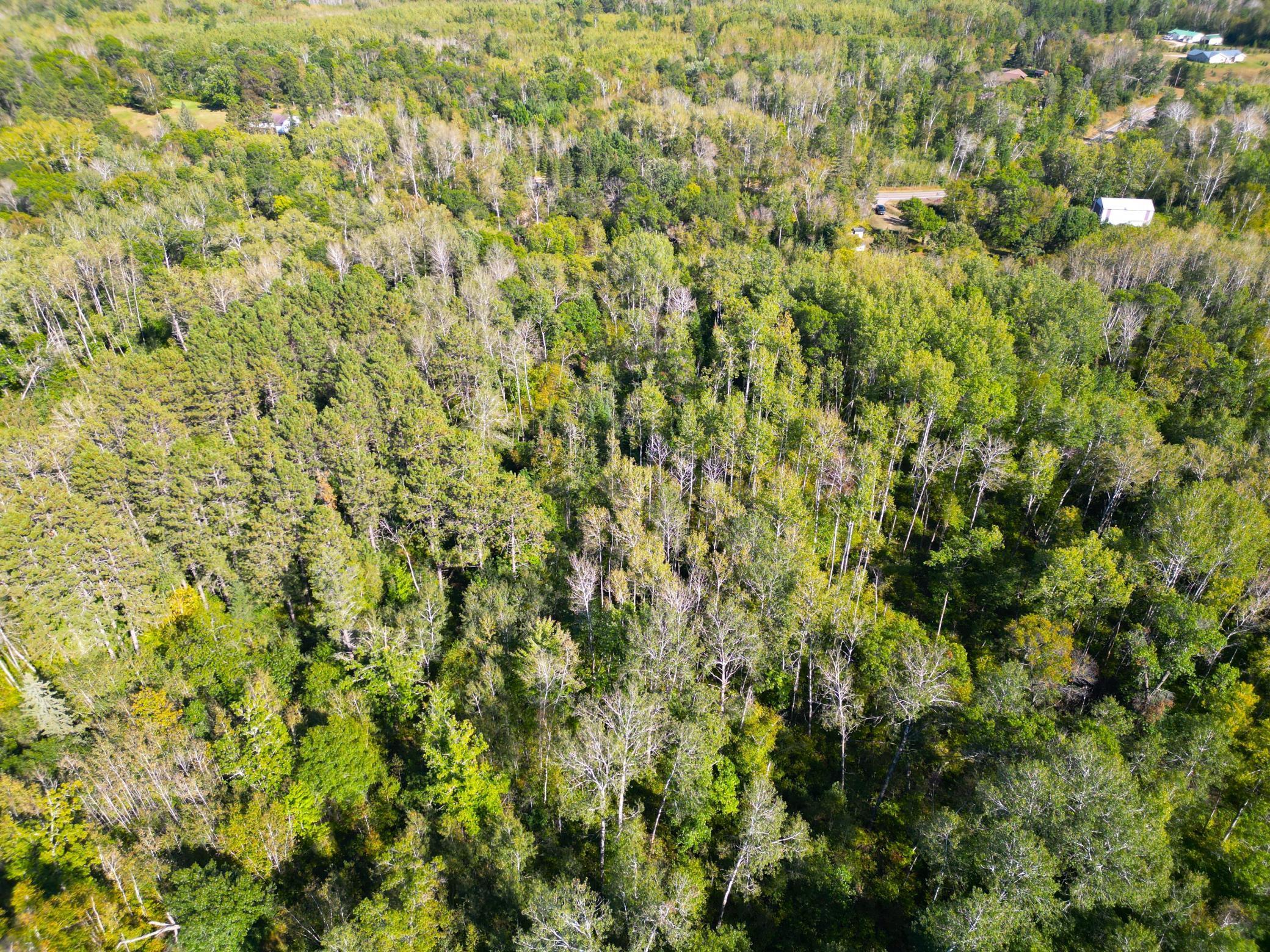 XXX Highway 84, Pine River, Minnesota image 10