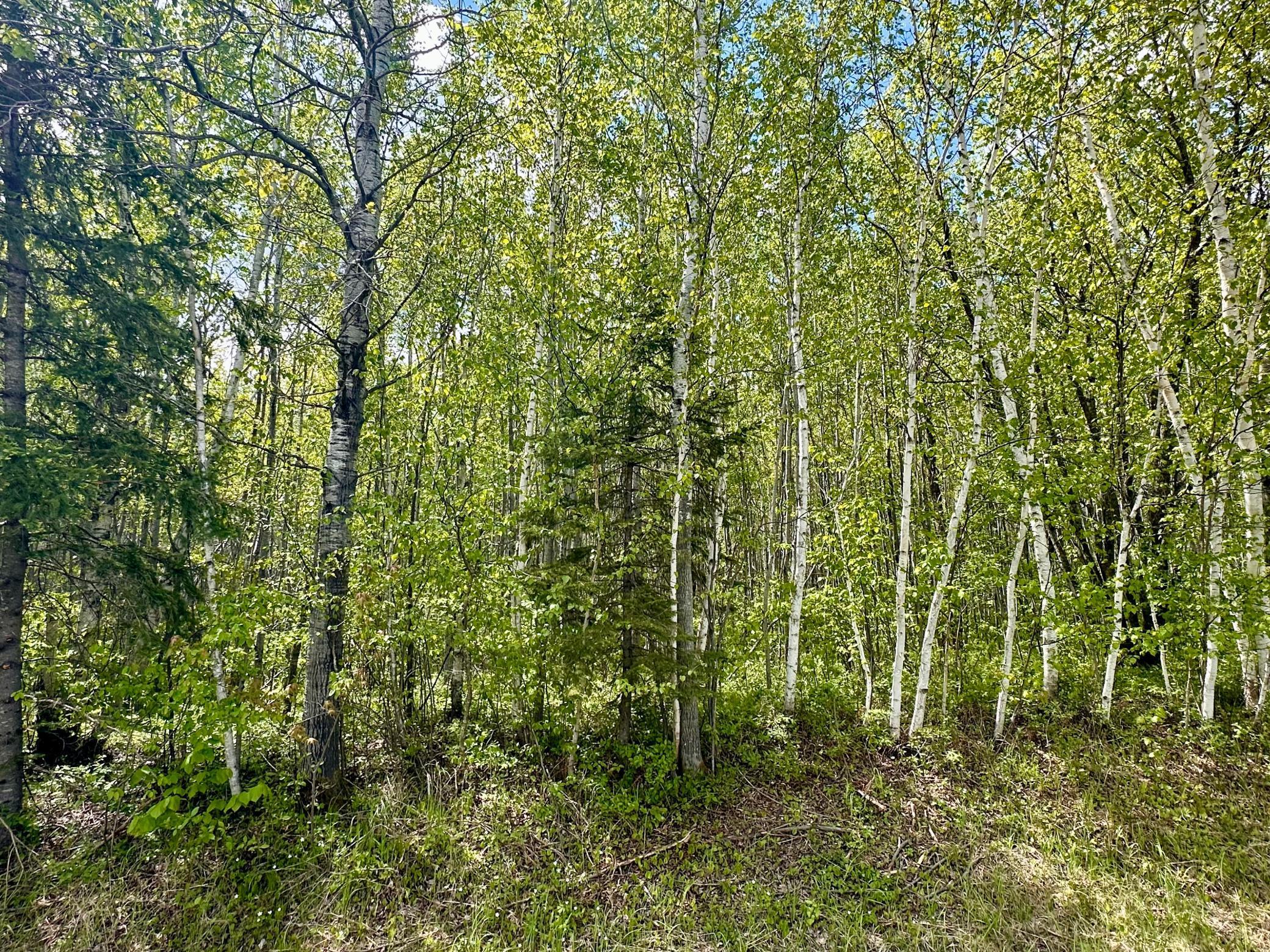 TBD County Rd. 12, Moose Lake, Minnesota image 25