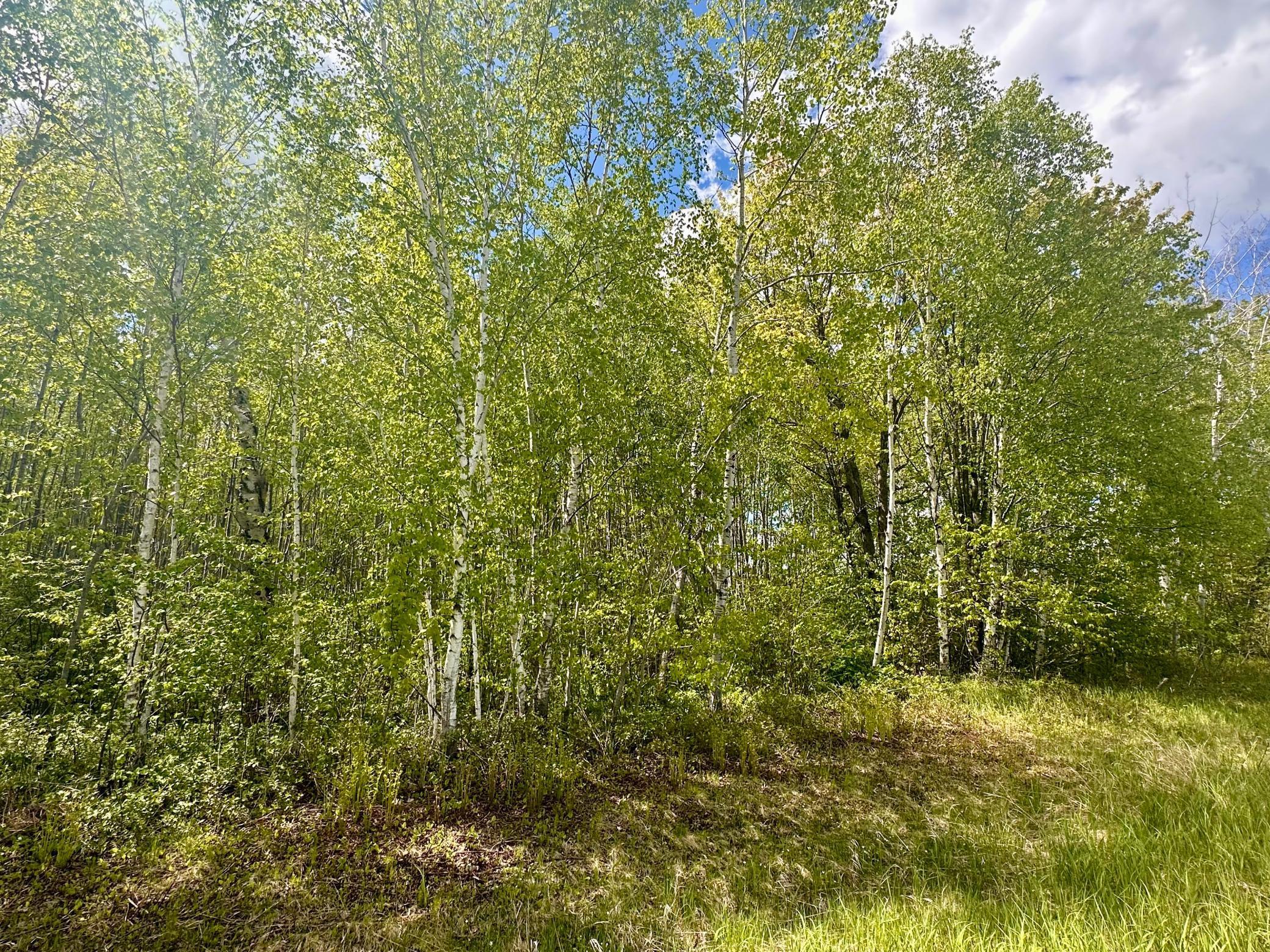 TBD County Rd. 12, Moose Lake, Minnesota image 30