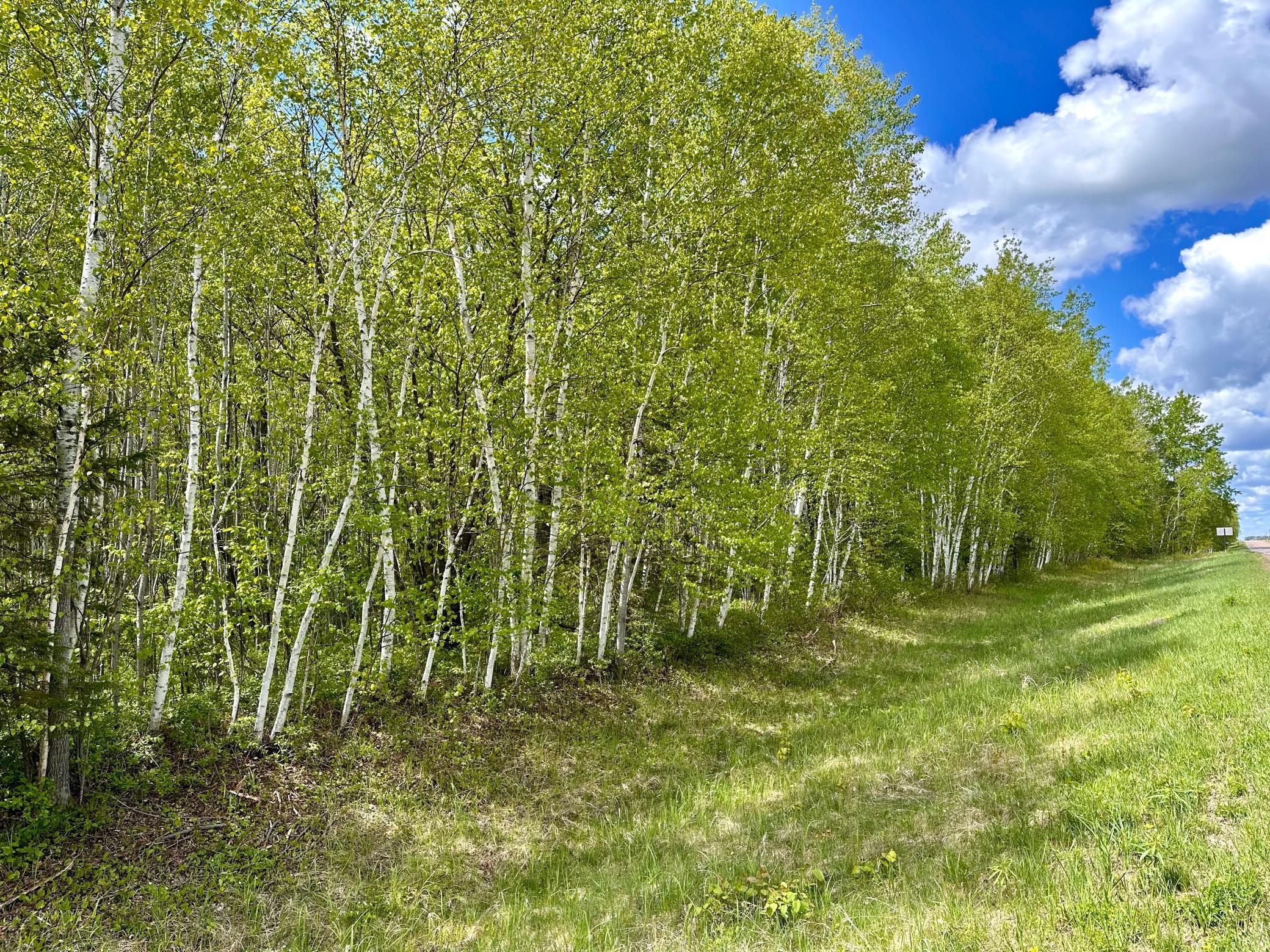 TBD County Rd. 12, Moose Lake, Minnesota image 5
