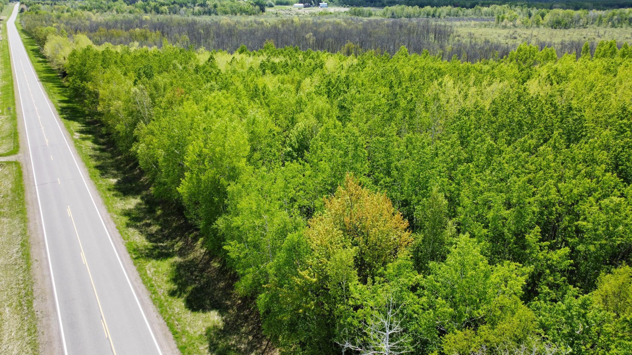 TBD County Rd. 12, Moose Lake, Minnesota image 7