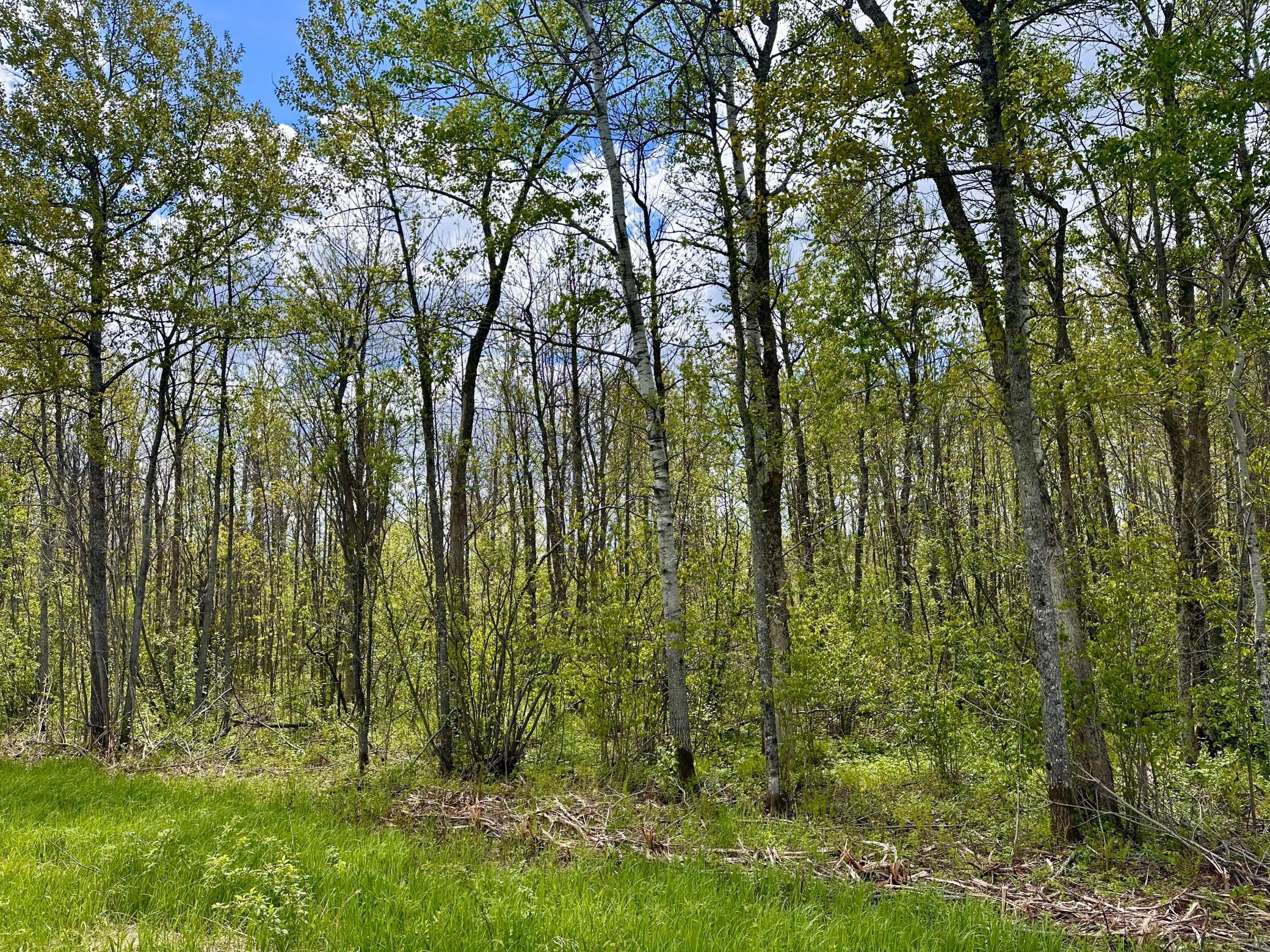 TBD County Rd. 12, Moose Lake, Minnesota image 20