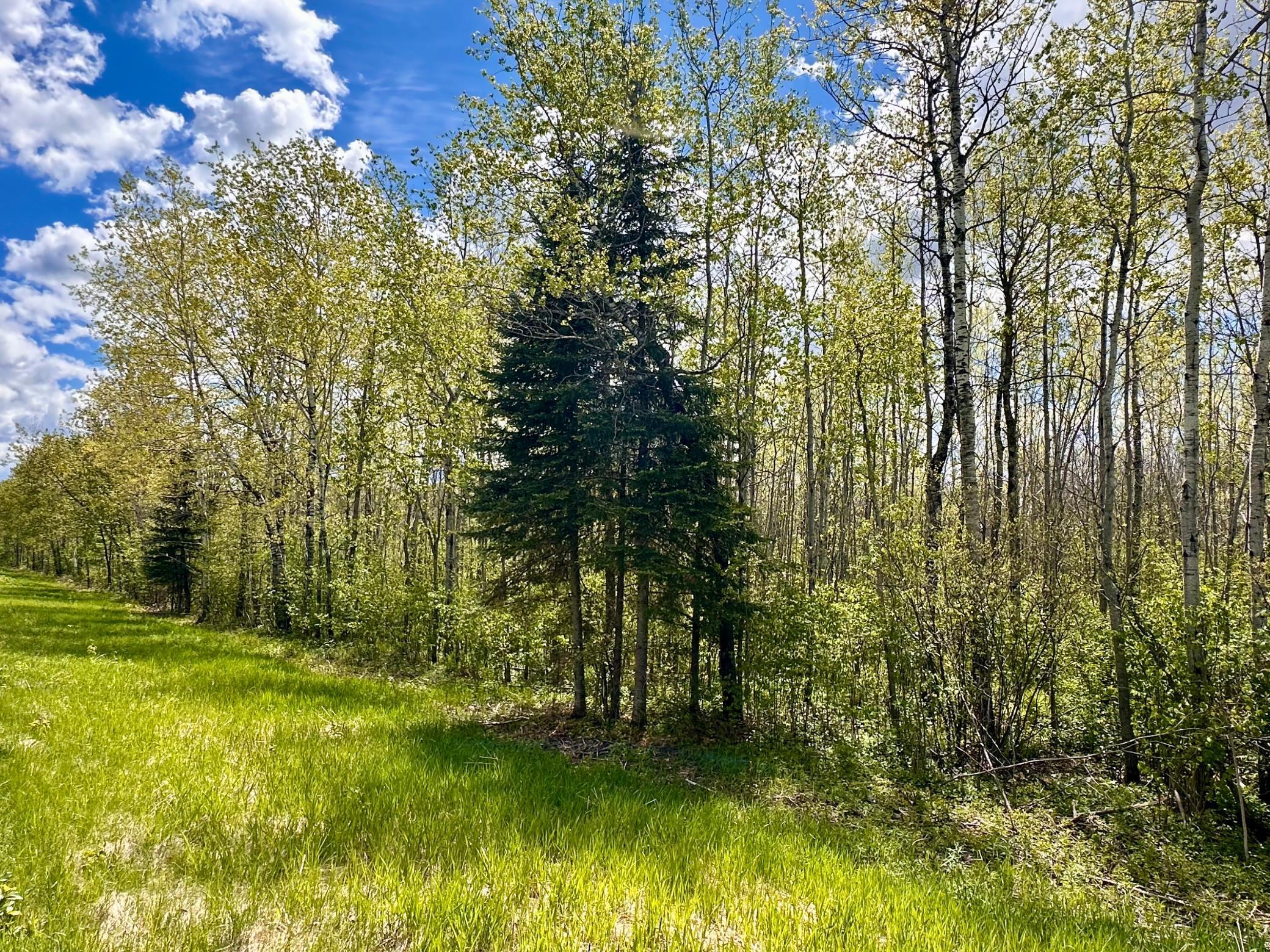 TBD County Rd. 12, Moose Lake, Minnesota image 22