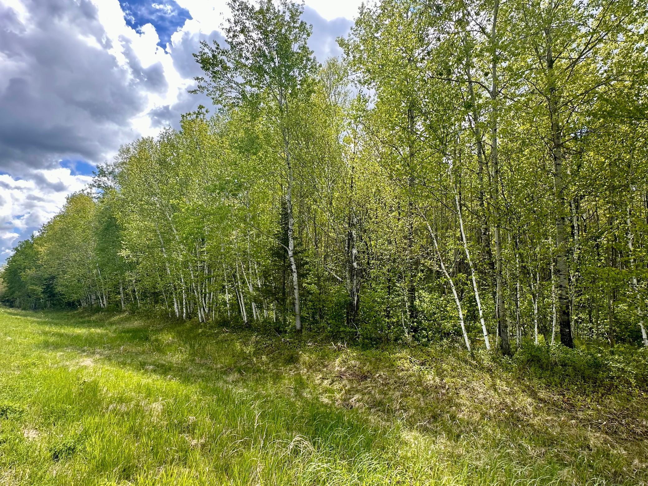 TBD County Rd. 12, Moose Lake, Minnesota image 29