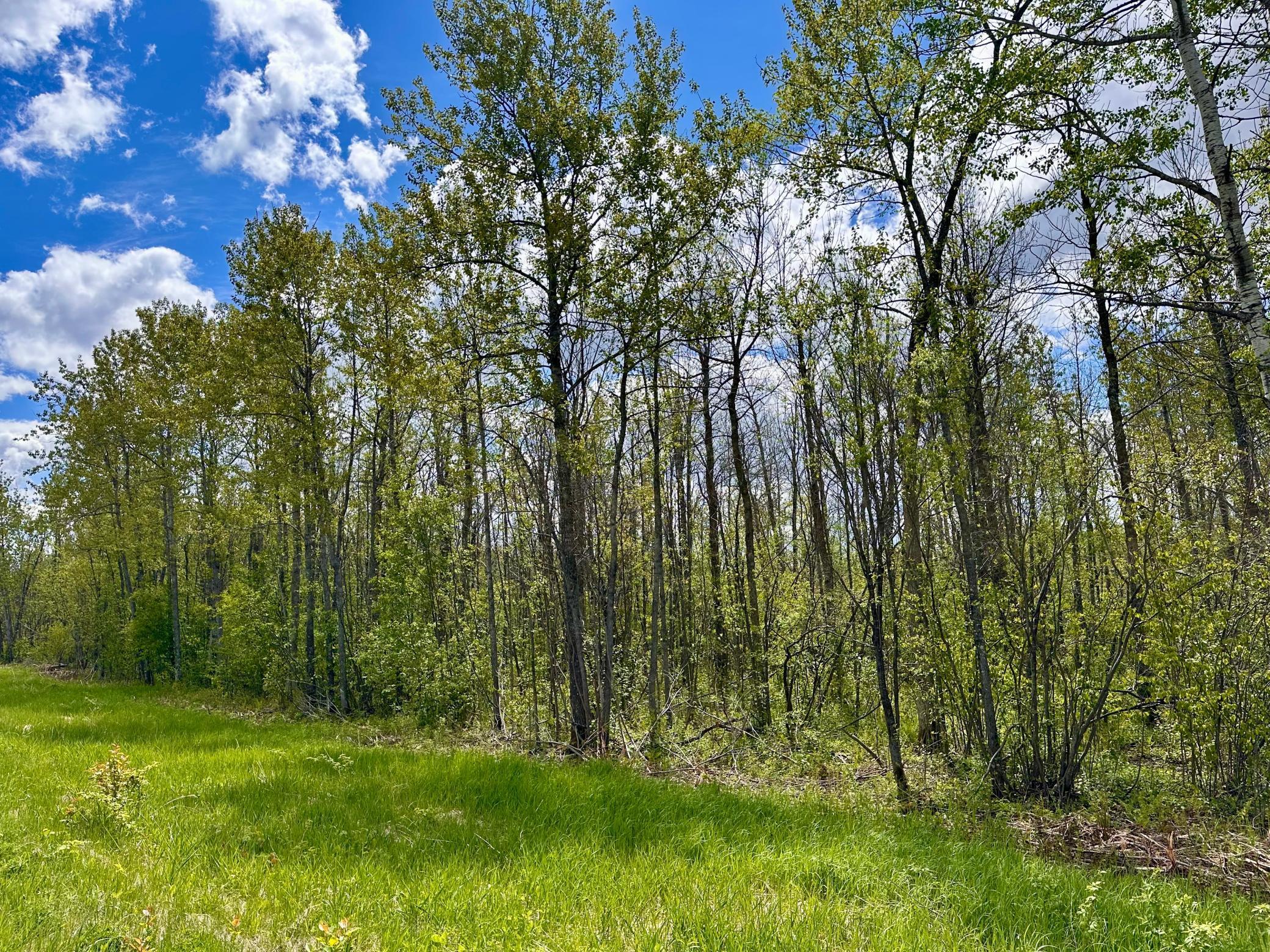 TBD County Rd. 12, Moose Lake, Minnesota image 19