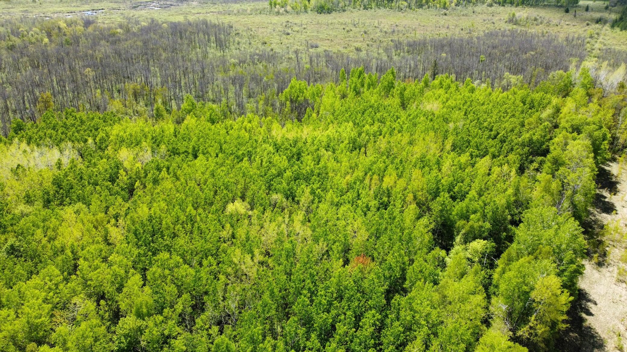TBD County Rd. 12, Moose Lake, Minnesota image 11