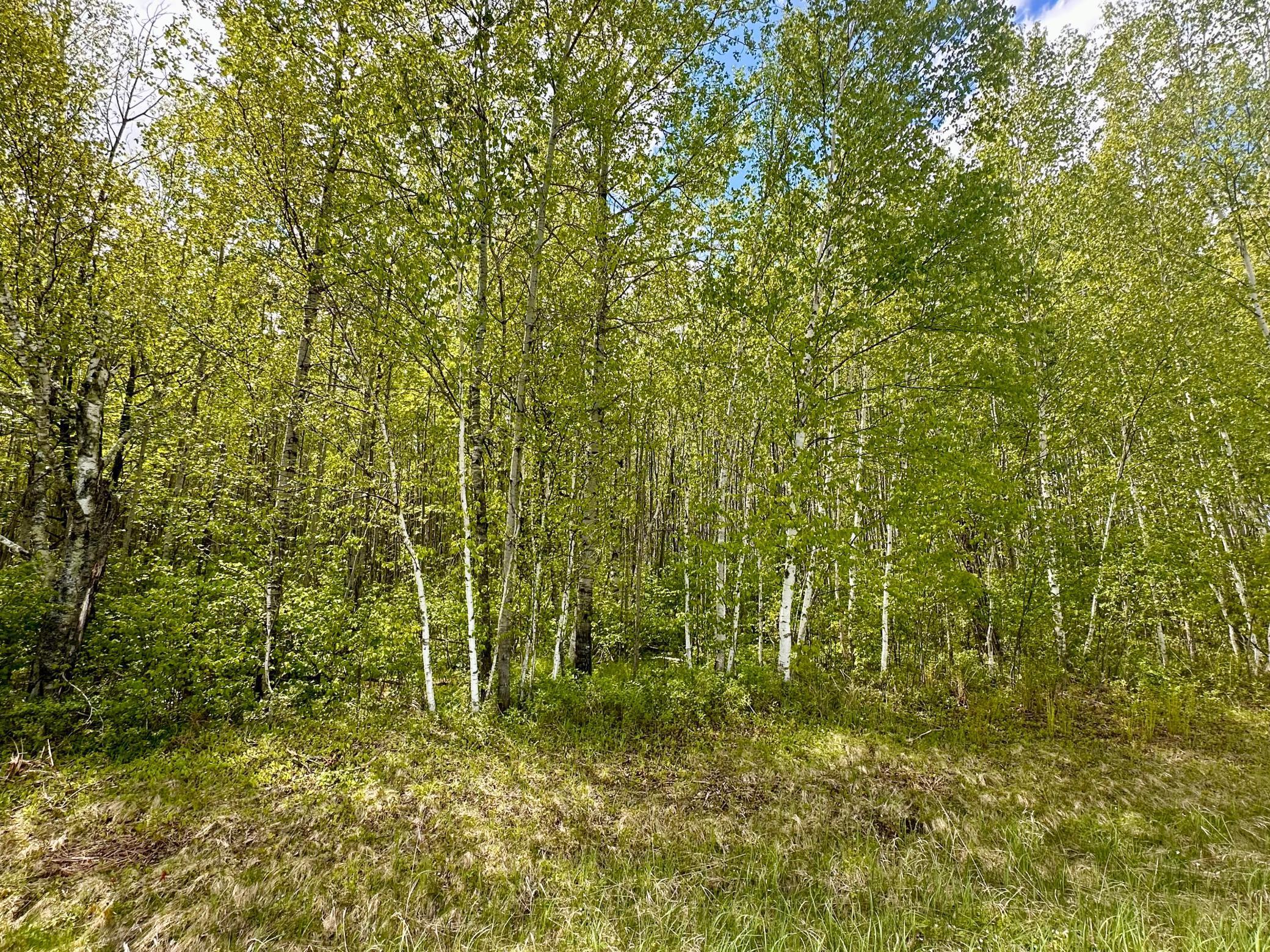 TBD County Rd. 12, Moose Lake, Minnesota image 28