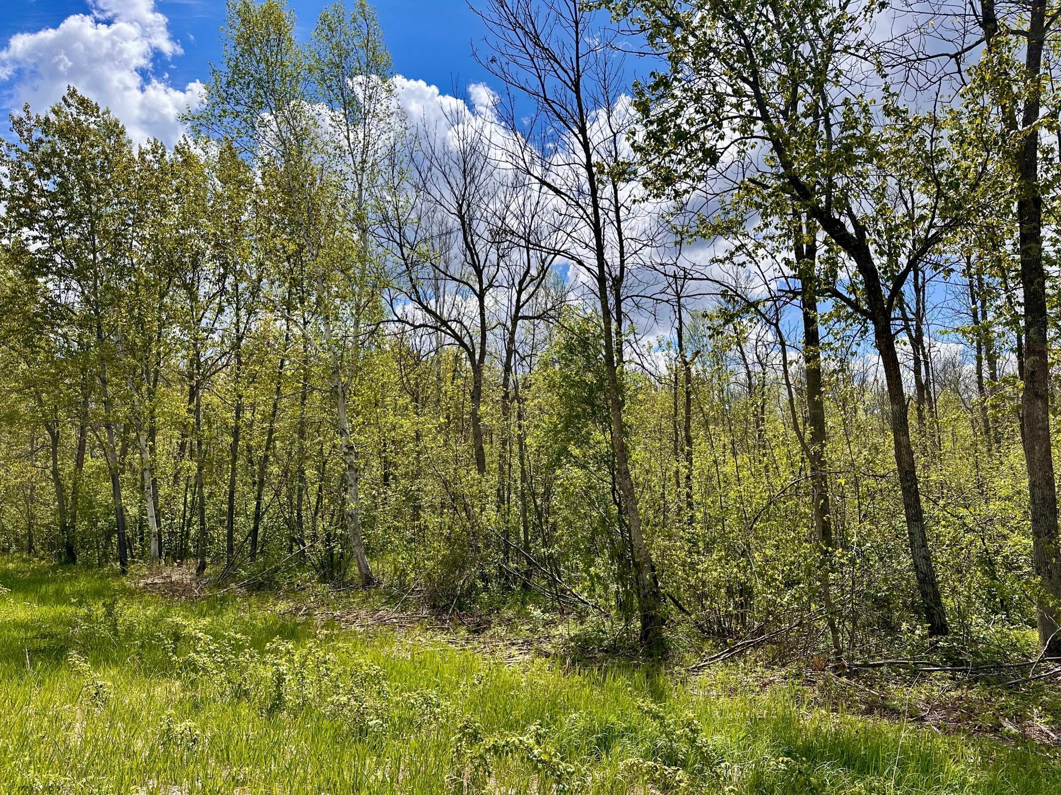 TBD County Rd. 12, Moose Lake, Minnesota image 21