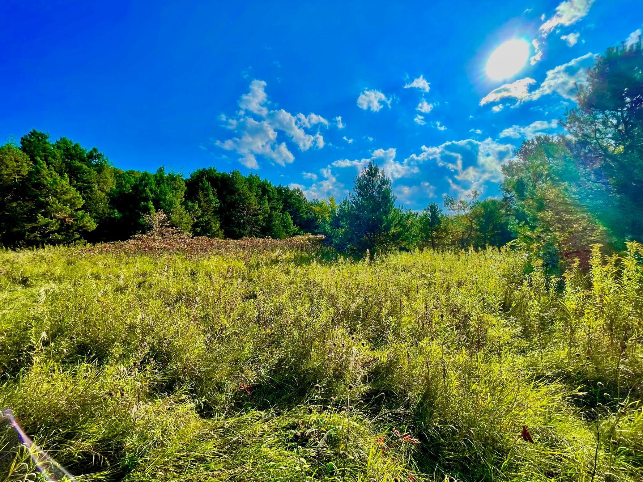 XXX Plainview Drive, River Falls, Wisconsin image 11