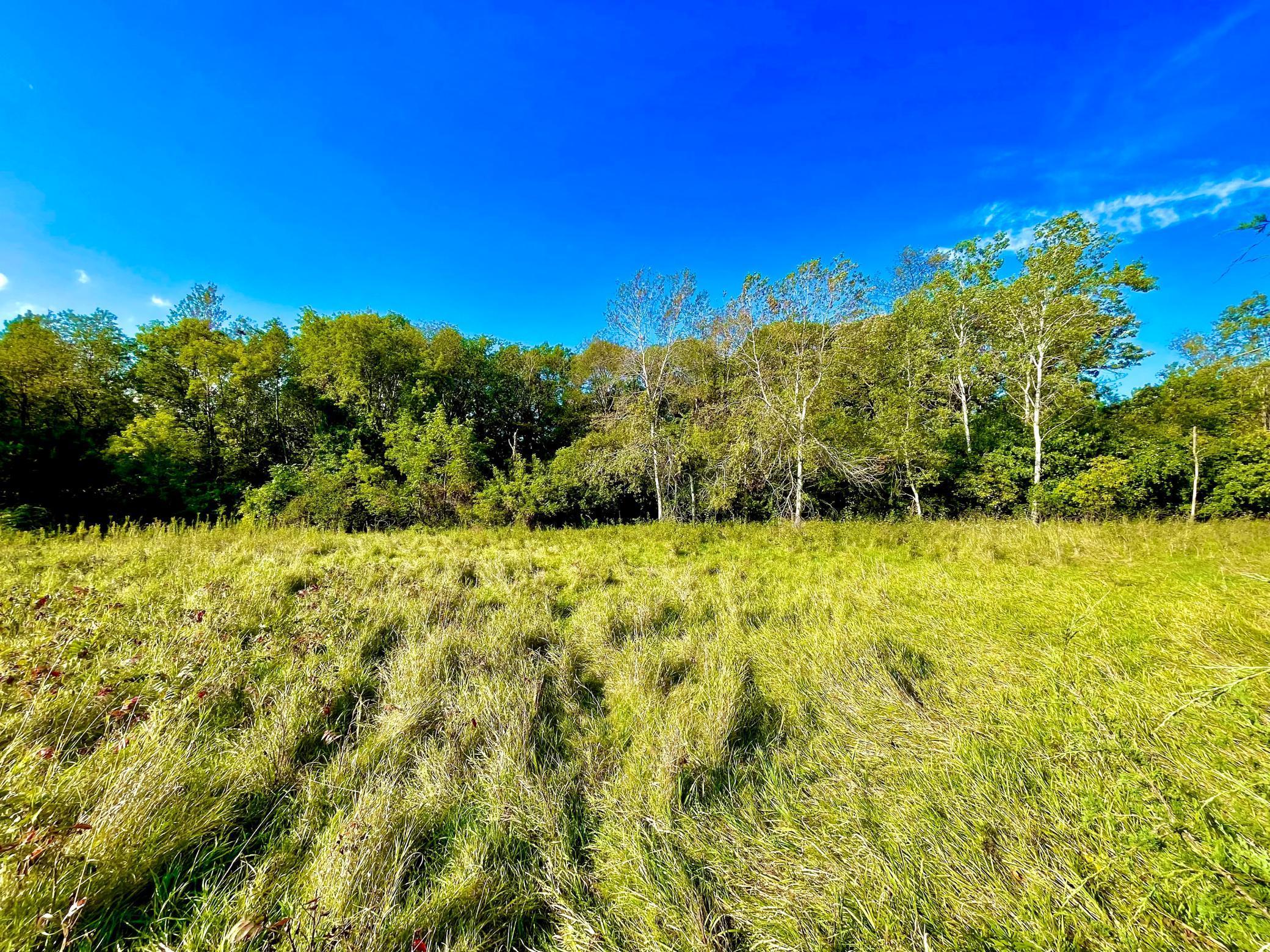 XXX Plainview Drive, River Falls, Wisconsin image 10