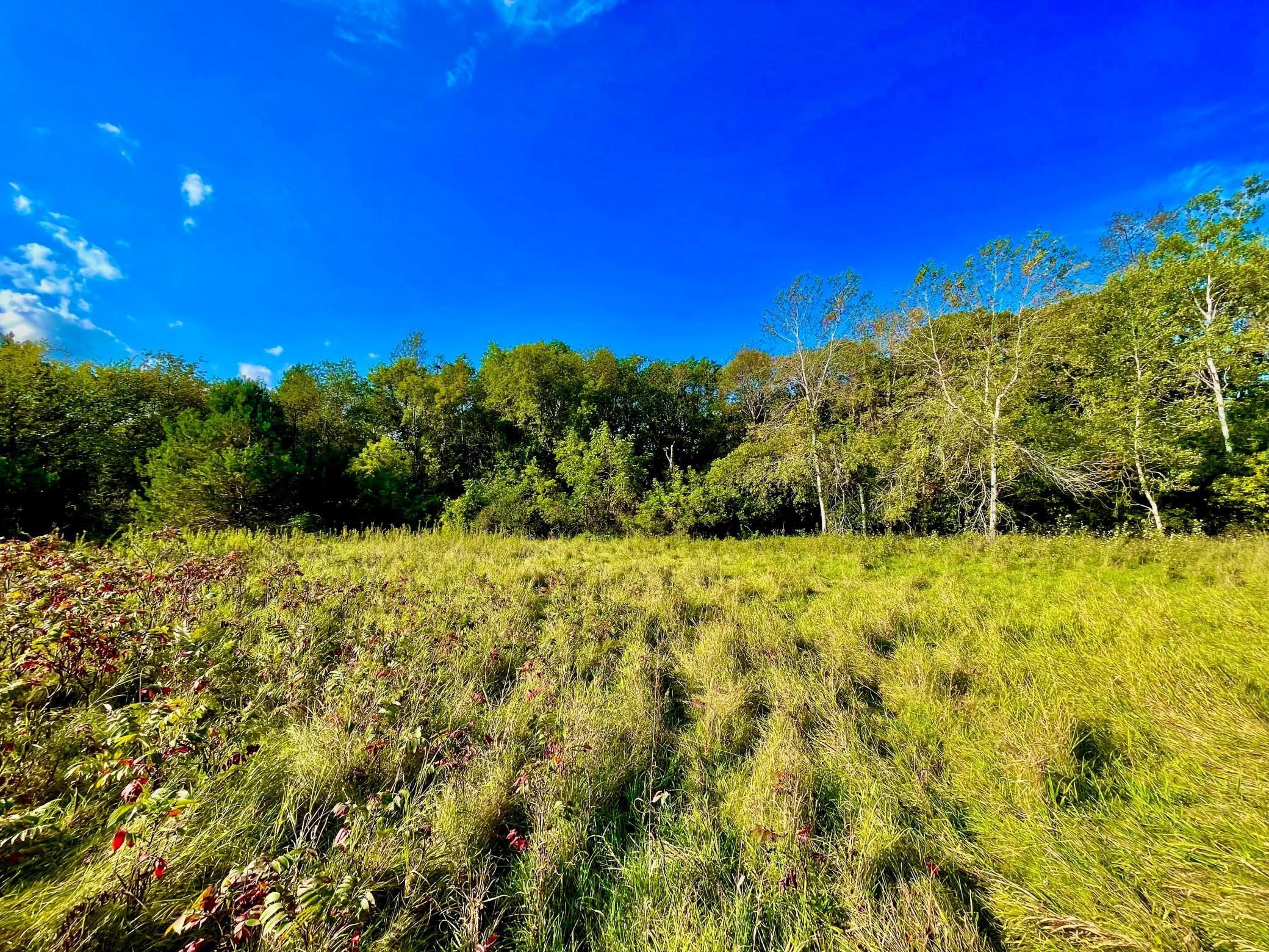 XXX Plainview Drive, River Falls, Wisconsin image 9