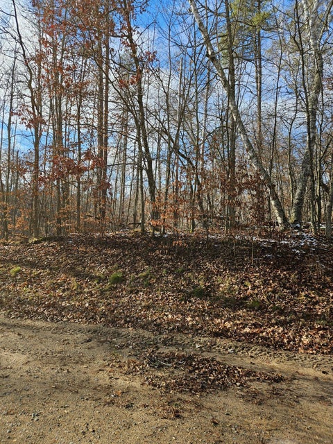 Vacant Land For Sale - LOT 1 Raccoon Lane<br/> Breezy Point, MN 56472