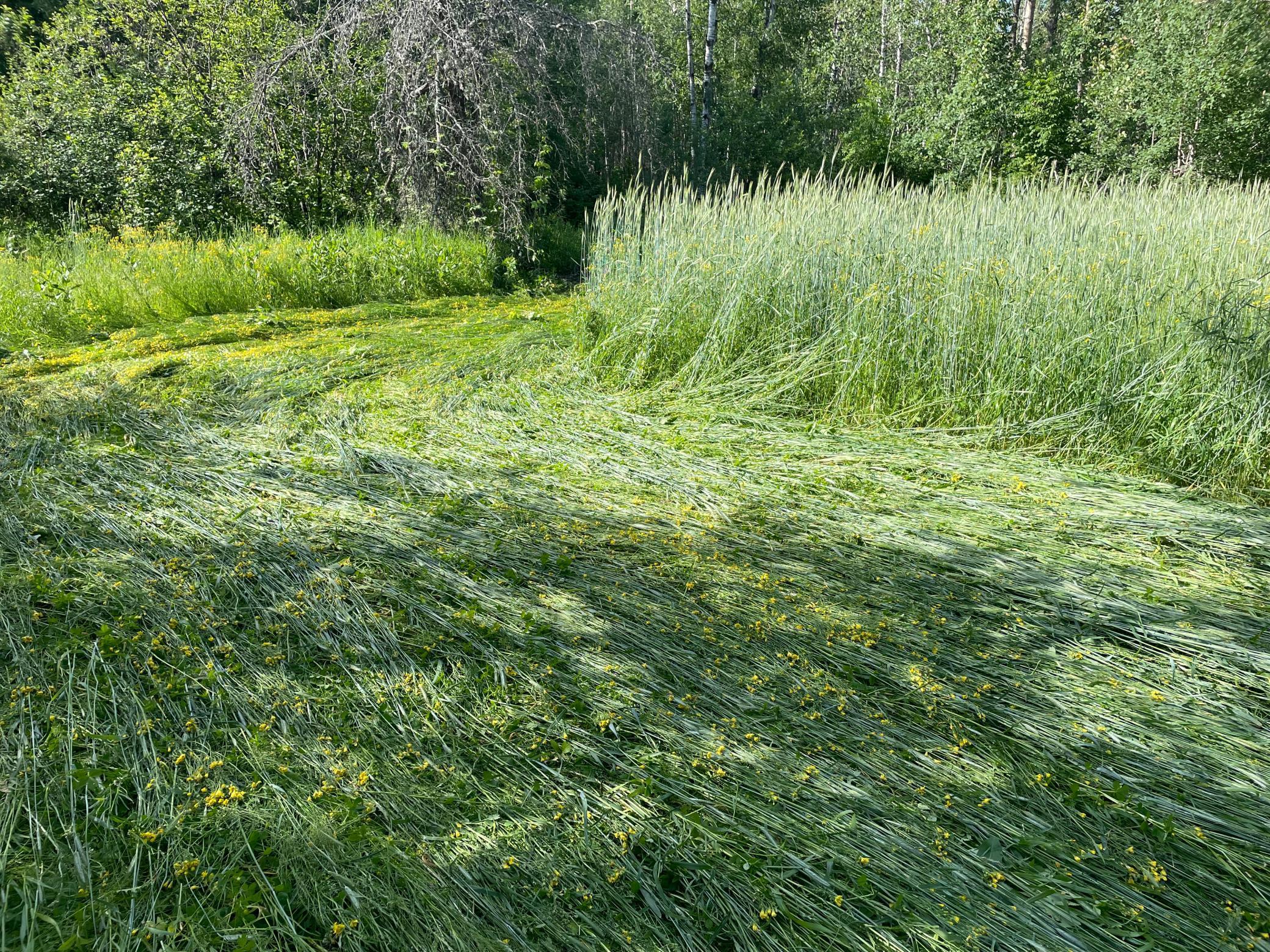 5469 24th Street, Pine River, Minnesota image 34