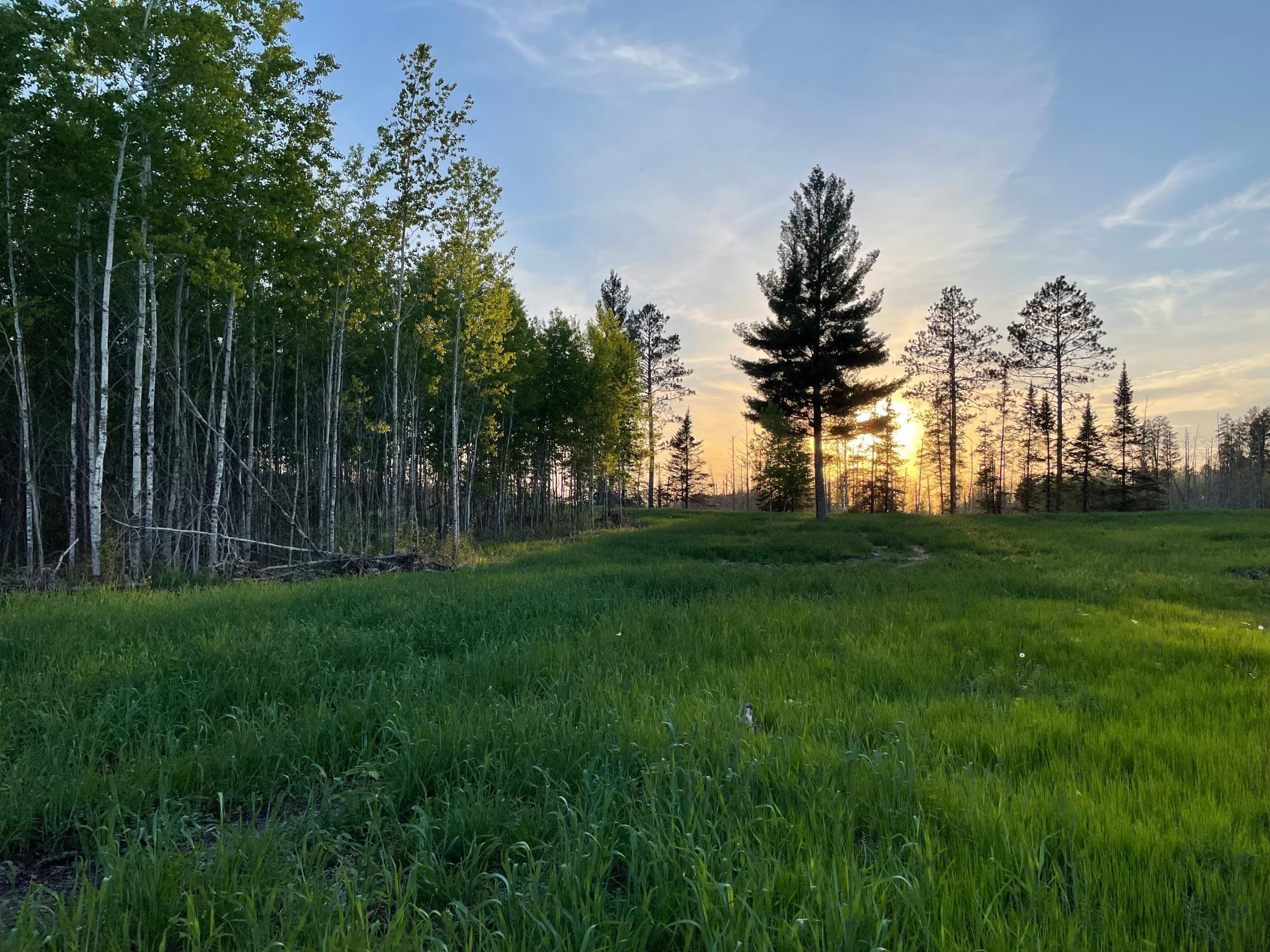 5469 24th Street, Pine River, Minnesota image 37