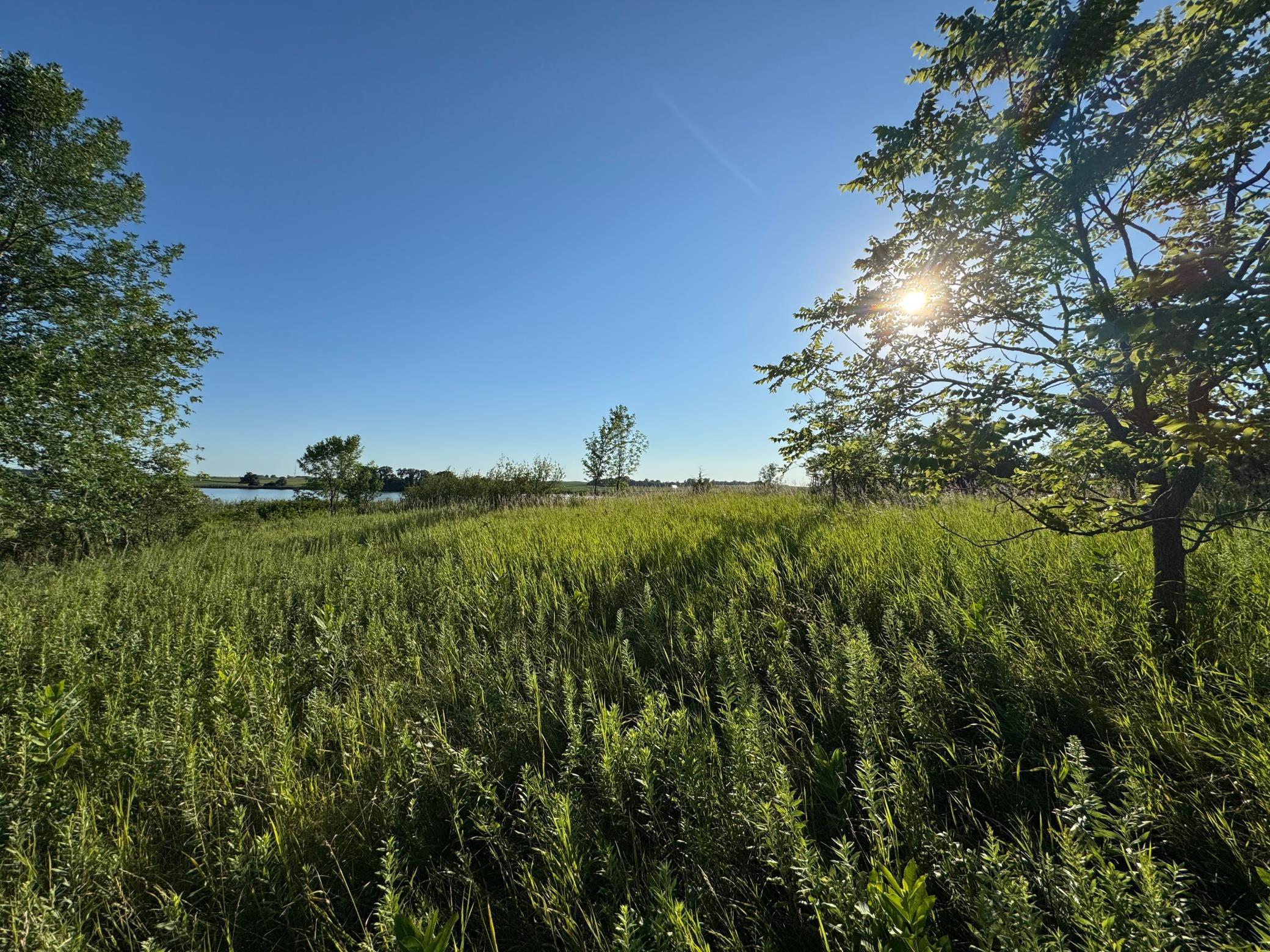 17248 400th Street, Pelican Rapids, Minnesota image 42