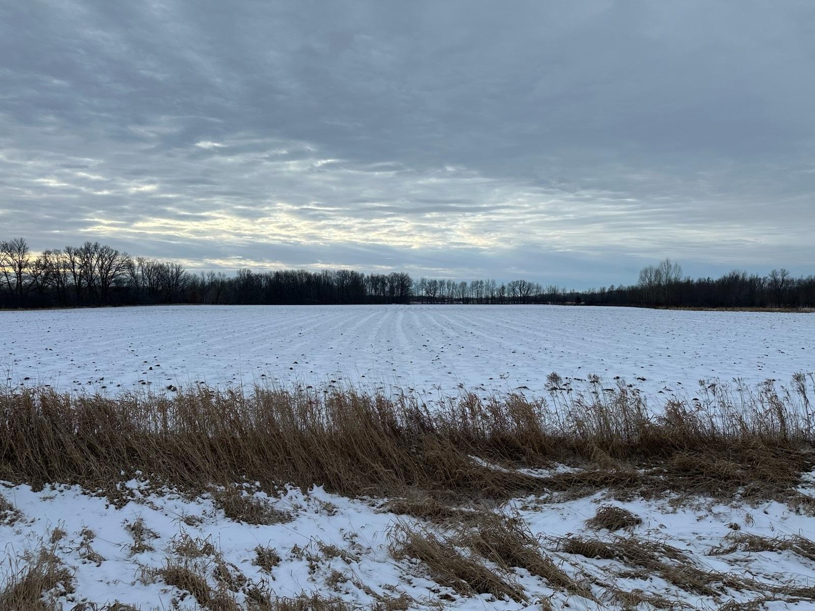 XXX 75th Street, Foley, Minnesota image 1