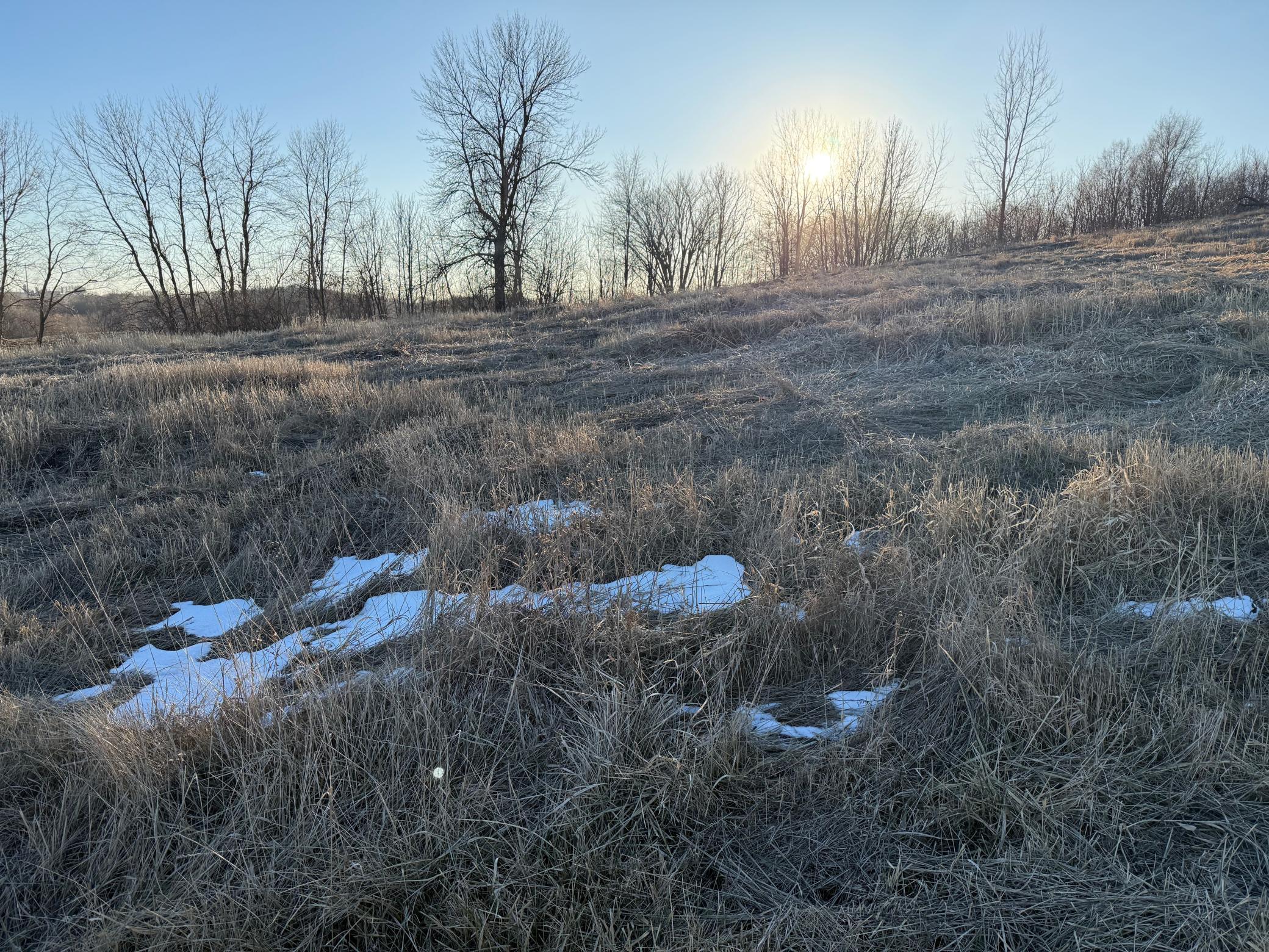 Lot 1 Block 2 460th Street, Zumbrota, Minnesota image 9