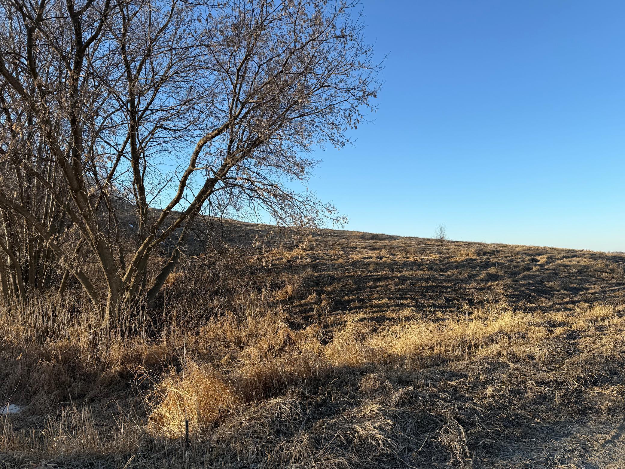 Lot 1 Block 2 460th Street, Zumbrota, Minnesota image 12