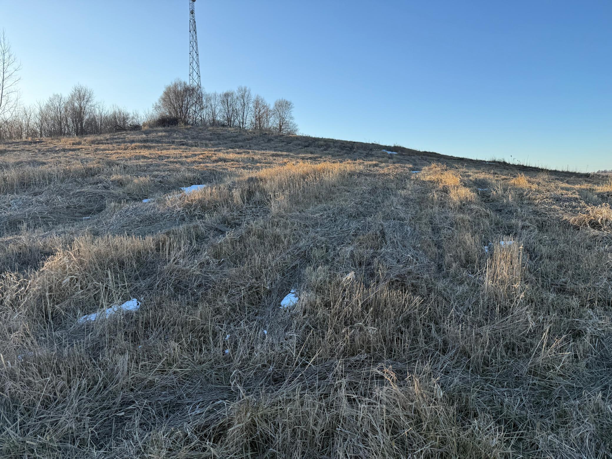 Lot 1 Block 2 460th Street, Zumbrota, Minnesota image 15