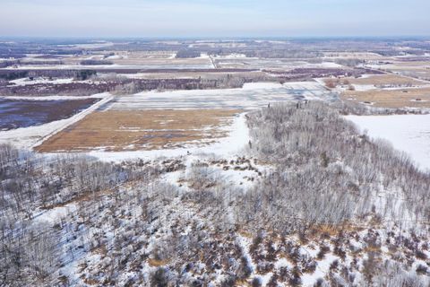 Vacant Land For Sale - 47691- 635th Avenue<br/> Otter Tail County, Sebeka, MN 56477