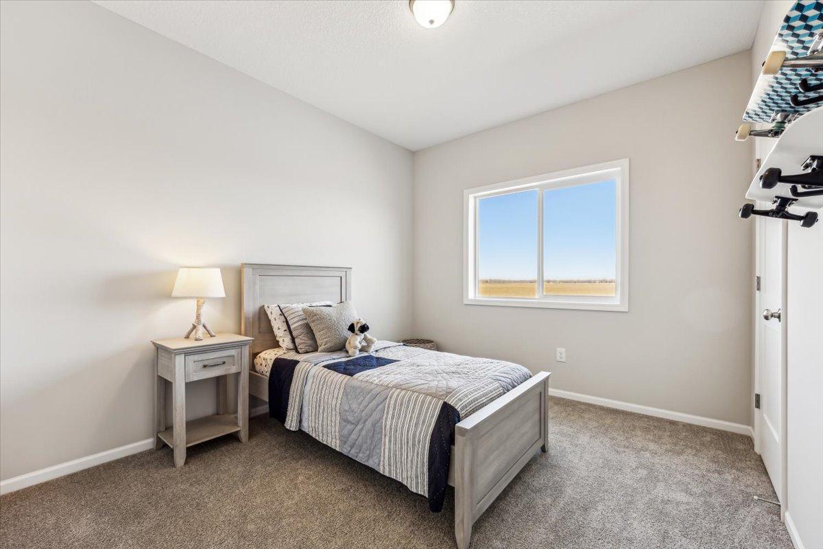 2701 213th Street, Farmington, Minnesota image 29