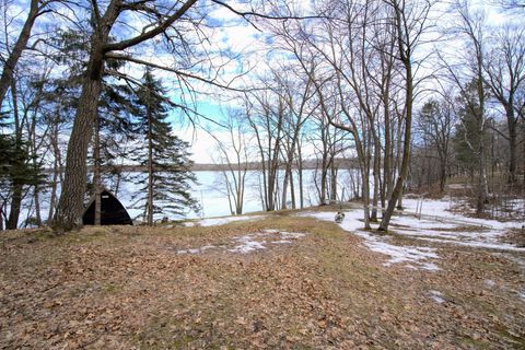 Vacant Land For Sale - 33456 Leisure Drive<br/> Todd County, Cushing, MN 56443