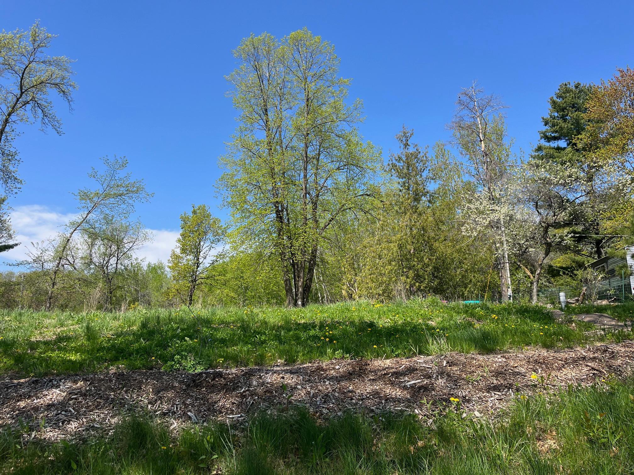 30674 455th Place, Aitkin, Minnesota image 17