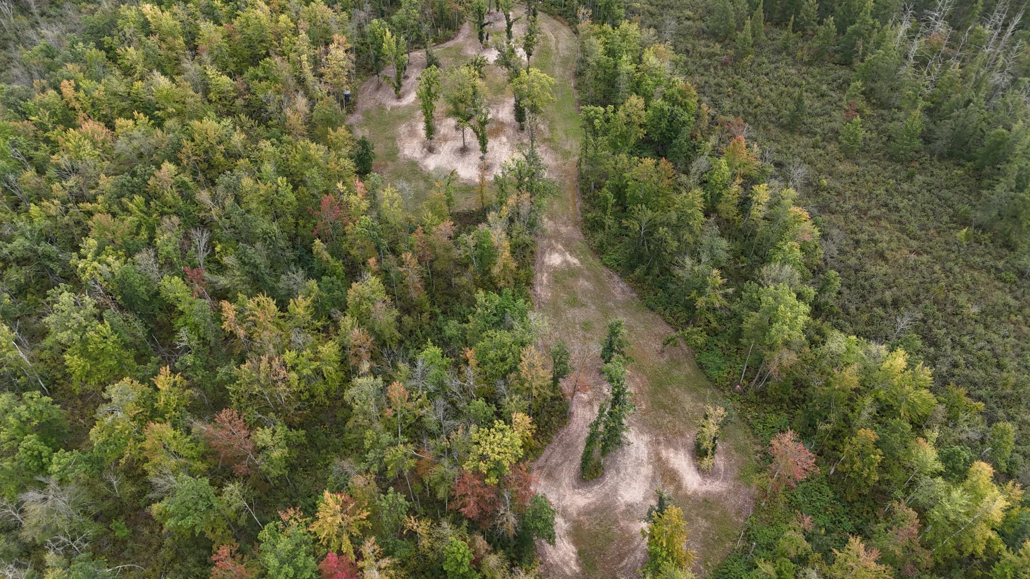 TBD Rainbow Trout Trail, Sandstone, Minnesota image 28