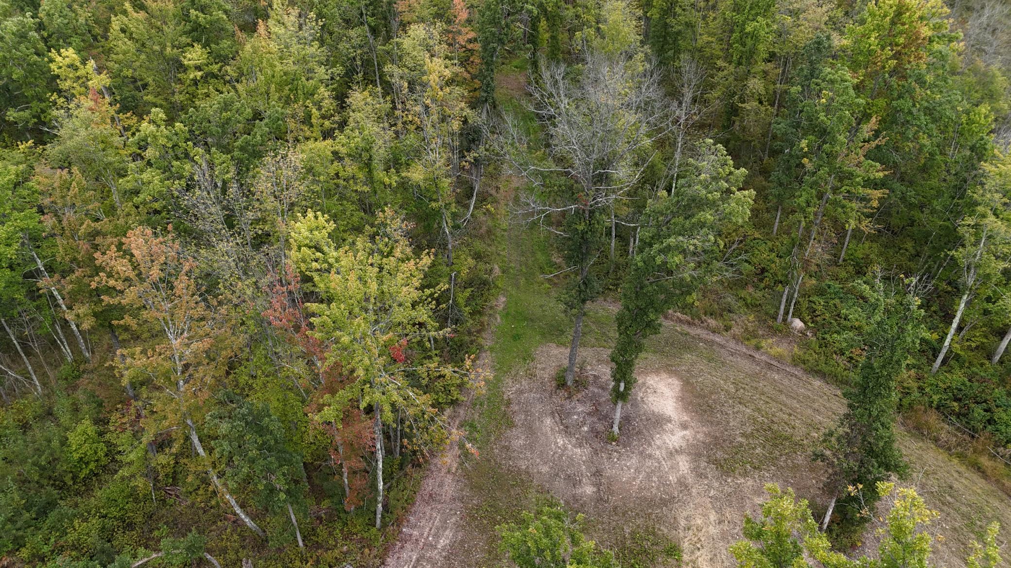 TBD Rainbow Trout Trail, Sandstone, Minnesota image 48