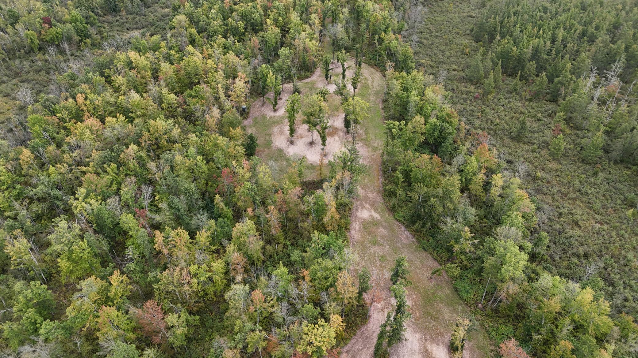 TBD Rainbow Trout Trail, Sandstone, Minnesota image 3