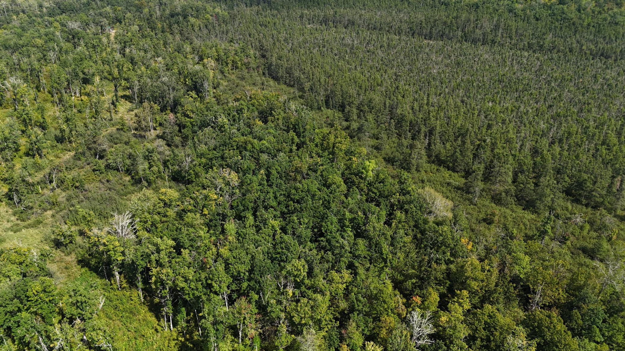 TBD Rainbow Trout Trail, Sandstone, Minnesota image 12