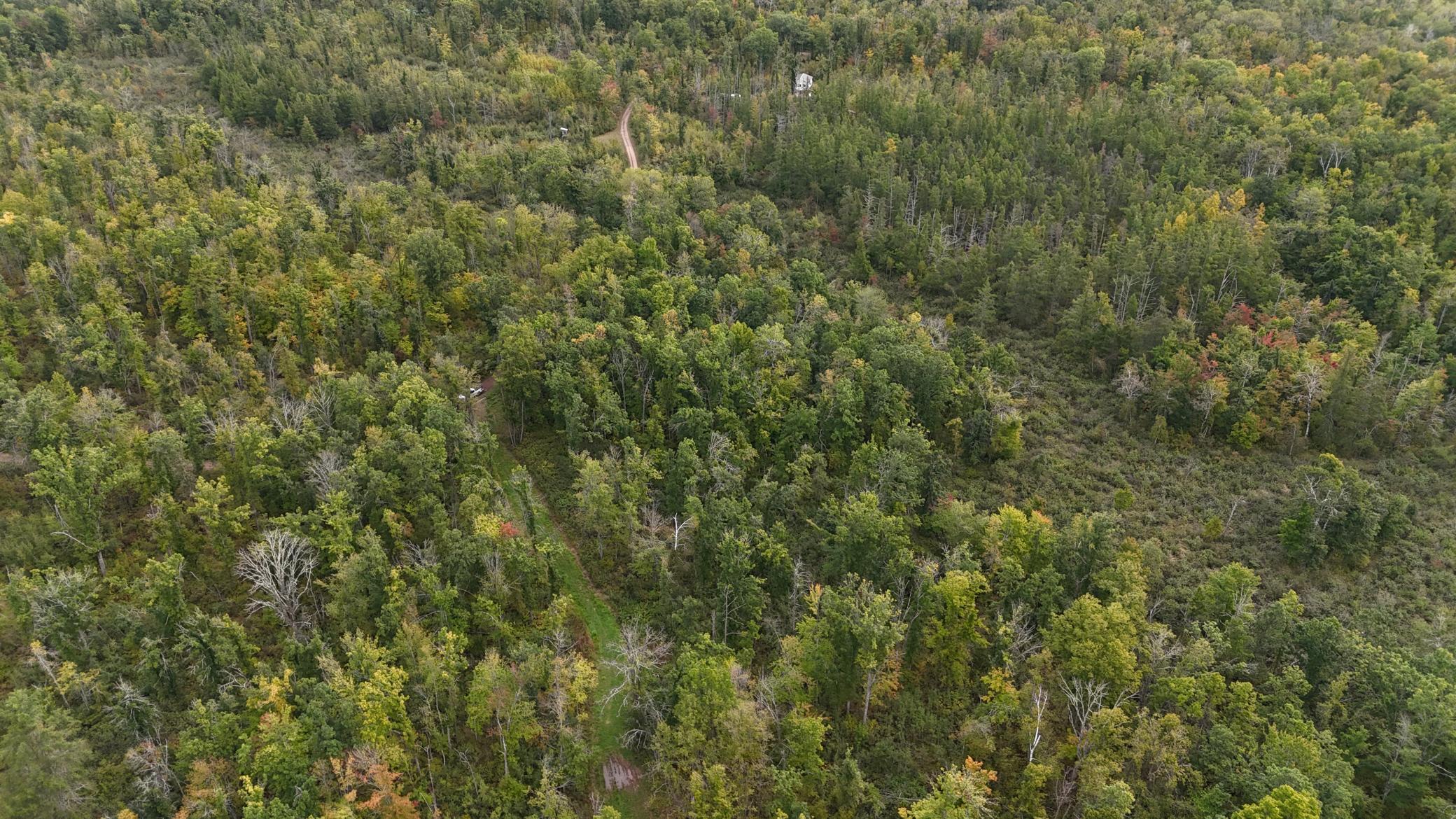 TBD Rainbow Trout Trail, Sandstone, Minnesota image 19