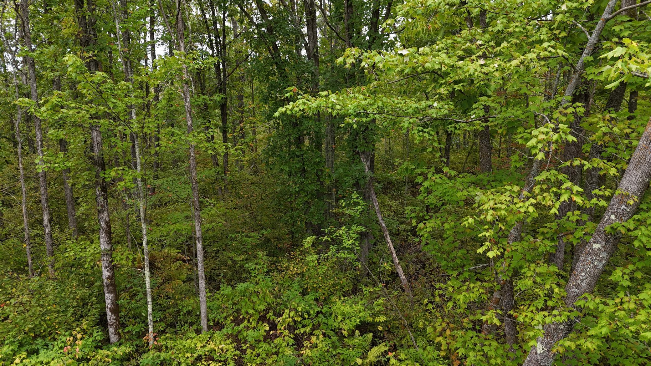 TBD Rainbow Trout Trail, Sandstone, Minnesota image 35