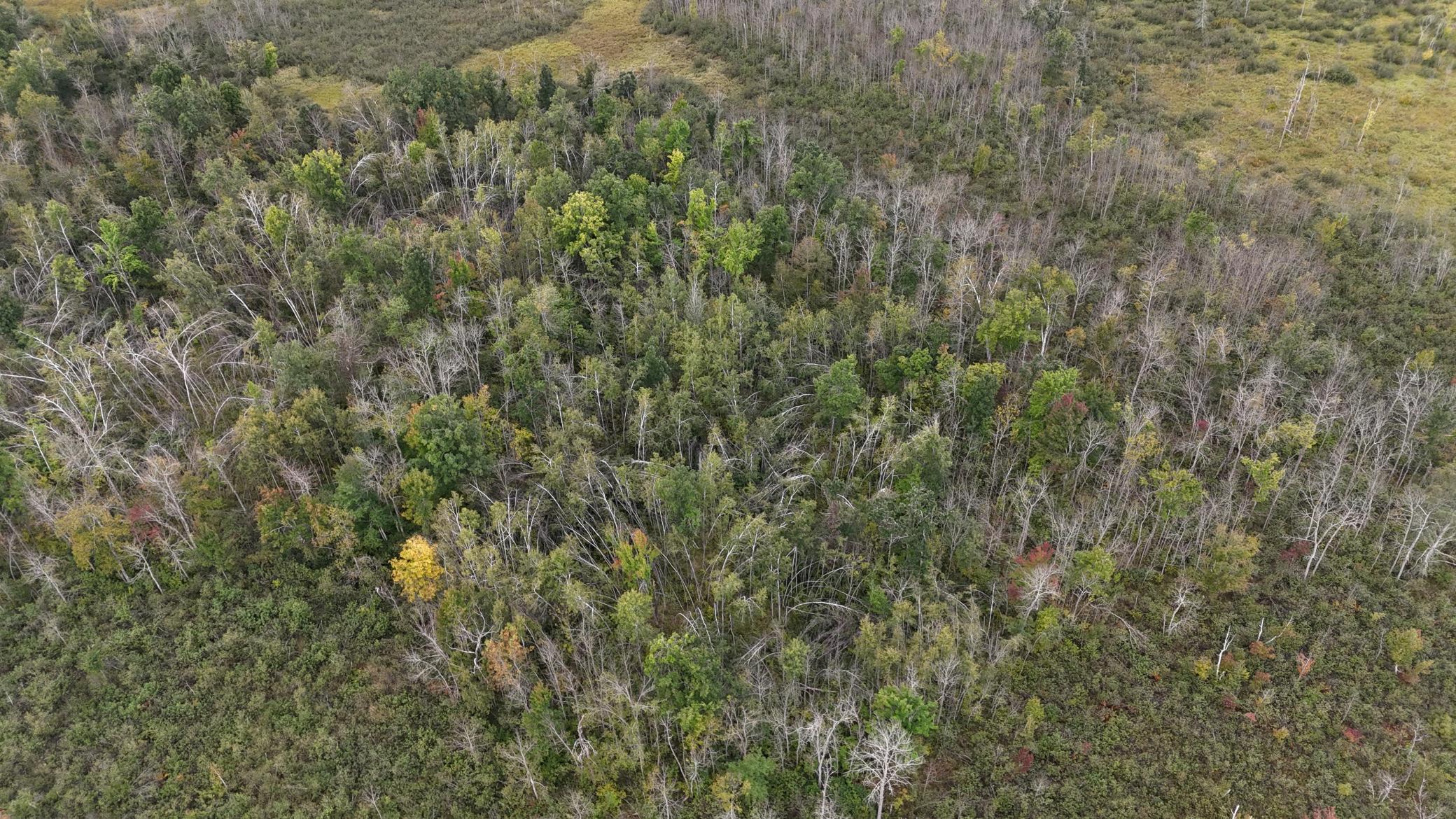 TBD Rainbow Trout Trail, Sandstone, Minnesota image 27