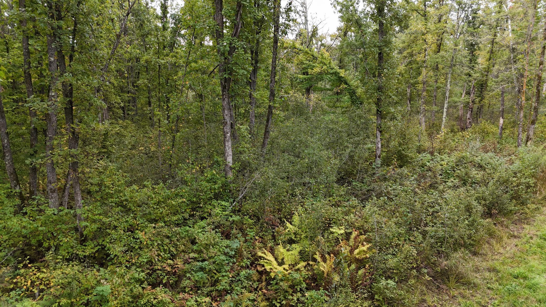 TBD Rainbow Trout Trail, Sandstone, Minnesota image 34