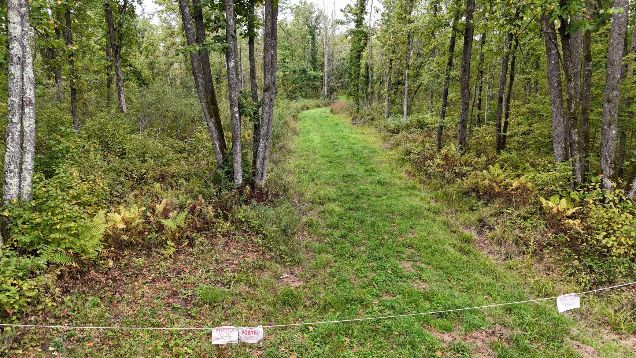 TBD Rainbow Trout Trail, Sandstone, Minnesota image 29