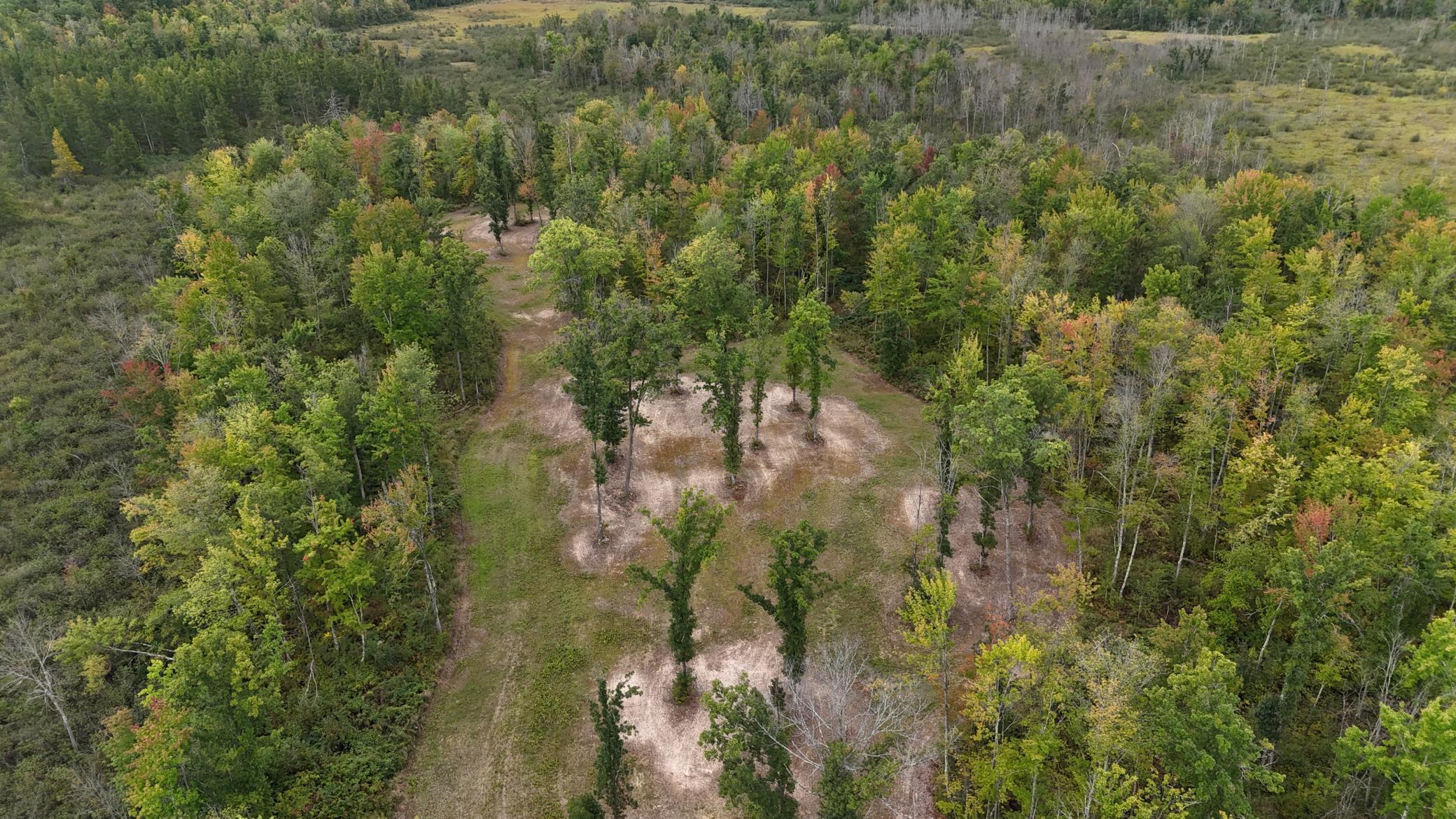 TBD Rainbow Trout Trail, Sandstone, Minnesota image 9