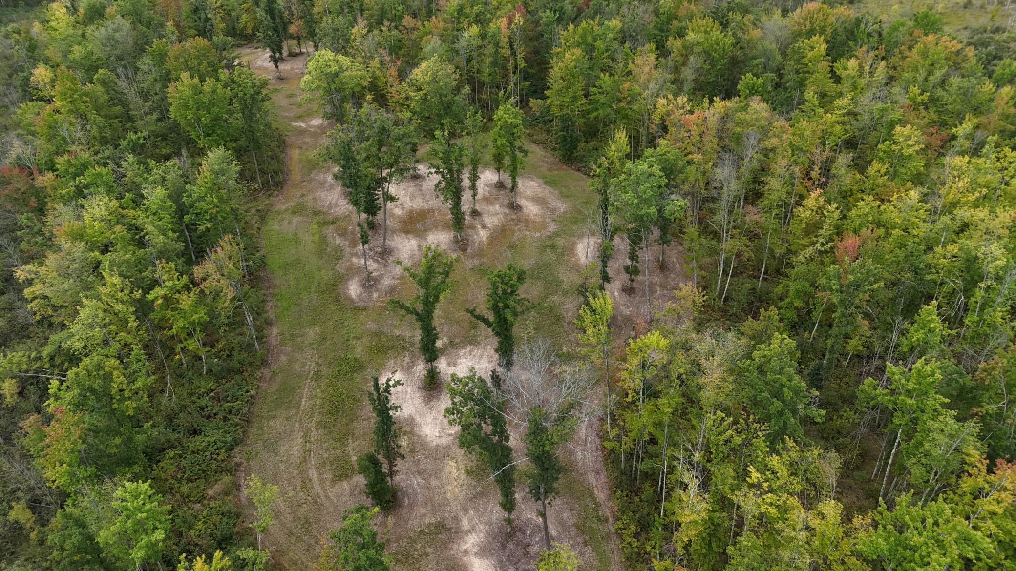 TBD Rainbow Trout Trail, Sandstone, Minnesota image 18