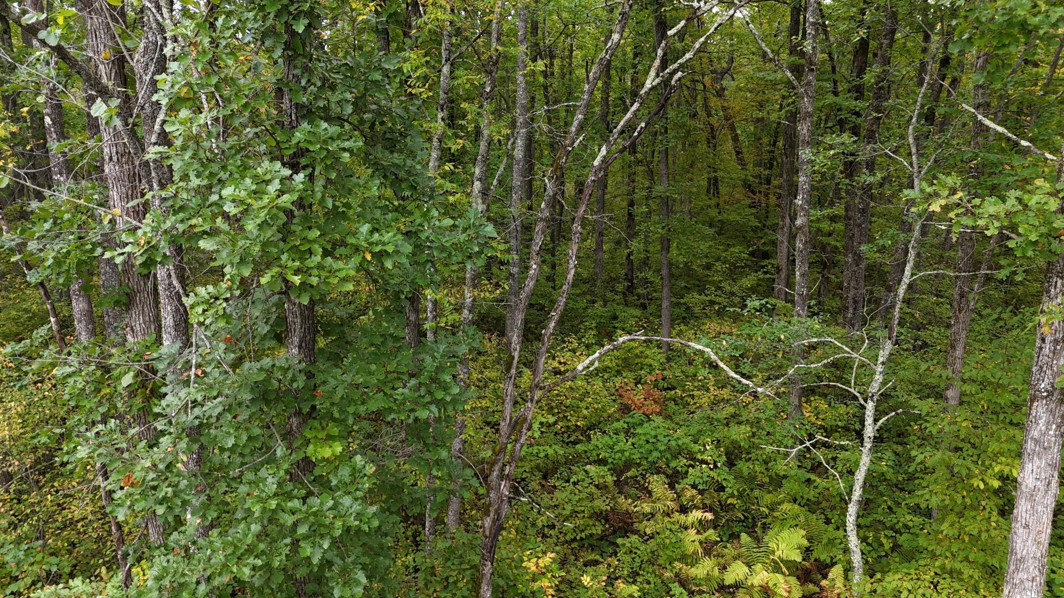 TBD Rainbow Trout Trail, Sandstone, Minnesota image 31